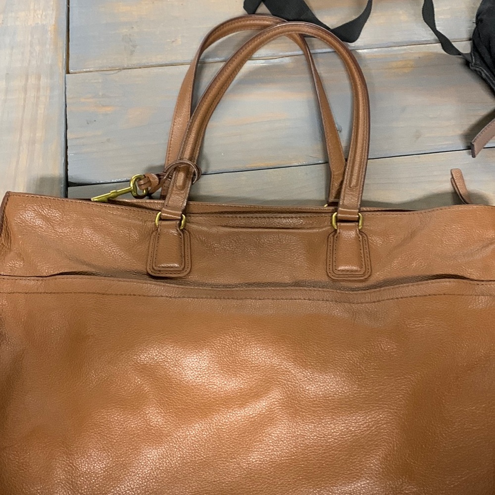 Fossil satchel